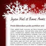 miniature Webdesign newsletter Noël