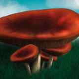 miniature Peindre un champignon