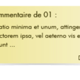 miniature Webdesign commentaires