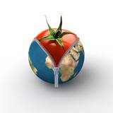 miniature La tomate sous Terre