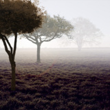 miniature Créer de la brume