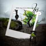 miniature Effet polaroïd