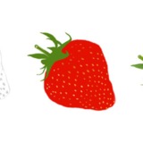 miniature Dessiner une fraise