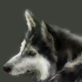 miniature Portrait de chien