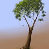 miniature Dessiner un arbre avec Photoshop