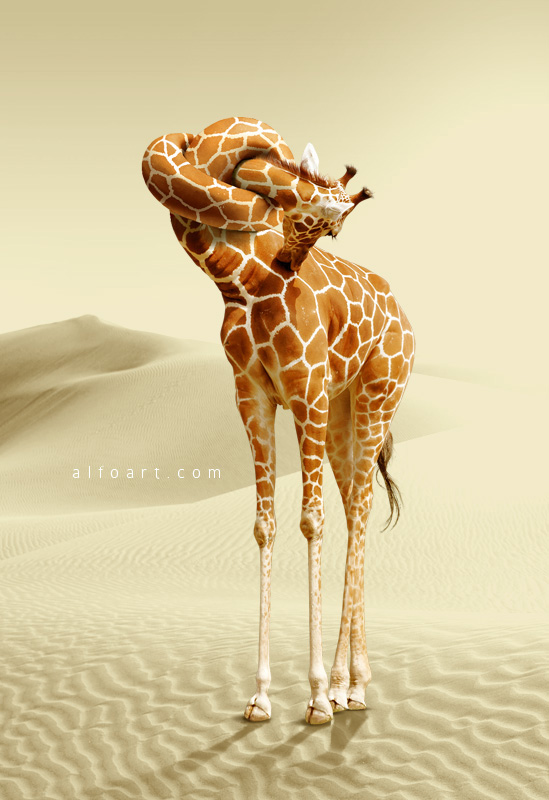 Girafe tête de noeud
